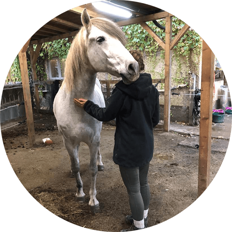 Pferdecoaching Siegen – Beate Heupel – Pferdegestützte Persönlichkeitsentwicklung: Wie Pferde Ihnen in meinem Coaching neue Perspektiven eröffnen.