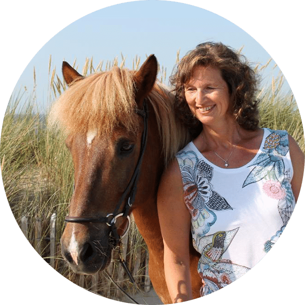 Pferdecoaching Siegen – Beate Heupel