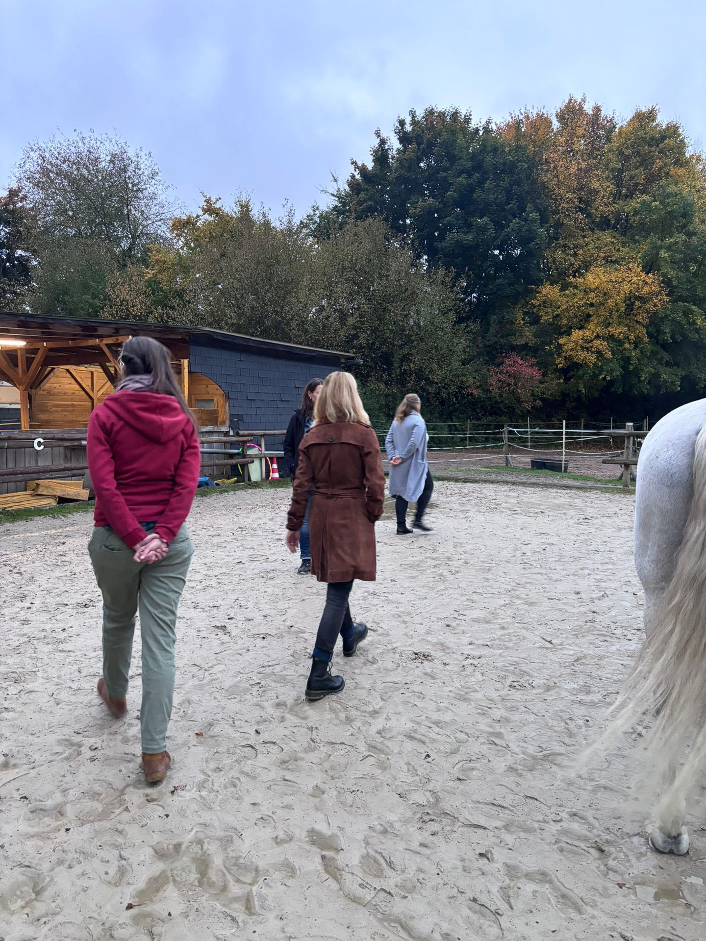 40409239-40ae-4b01-8464-01c5ef282dc9