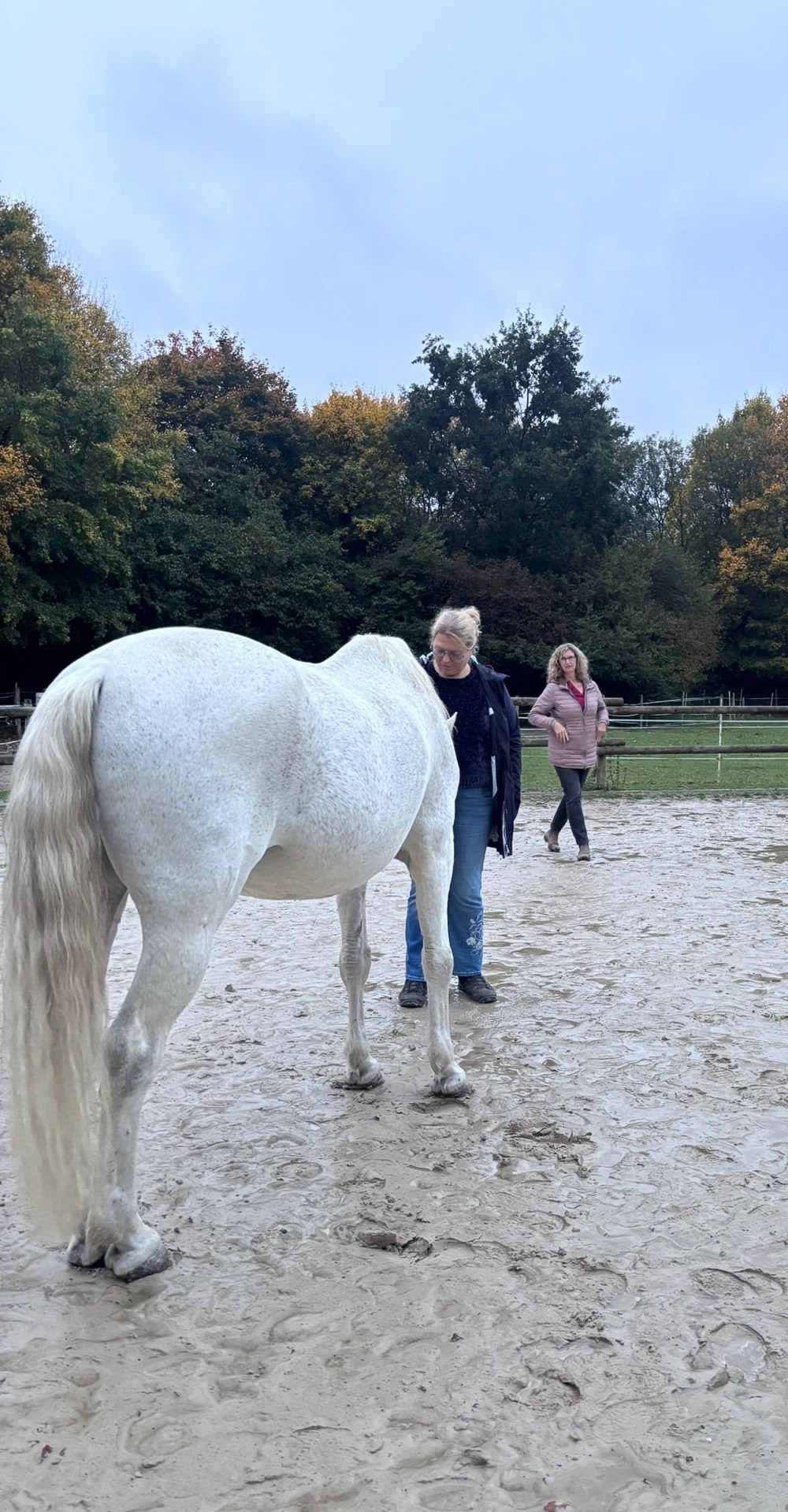 ef08cecd-d3a6-42cc-ae45-c1a0e833b614