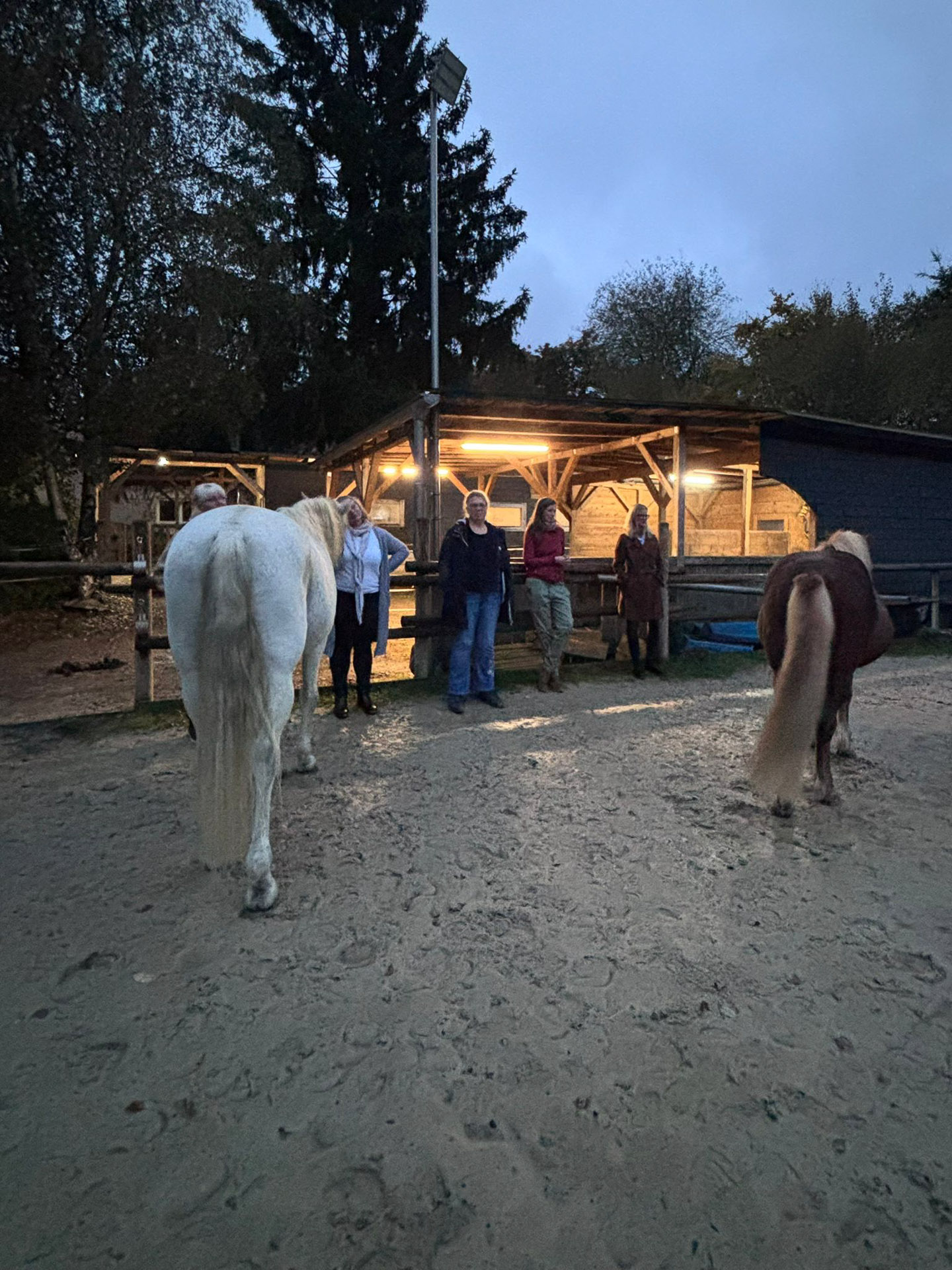 fd582985-1859-4c5e-aeb9-114b5553c471